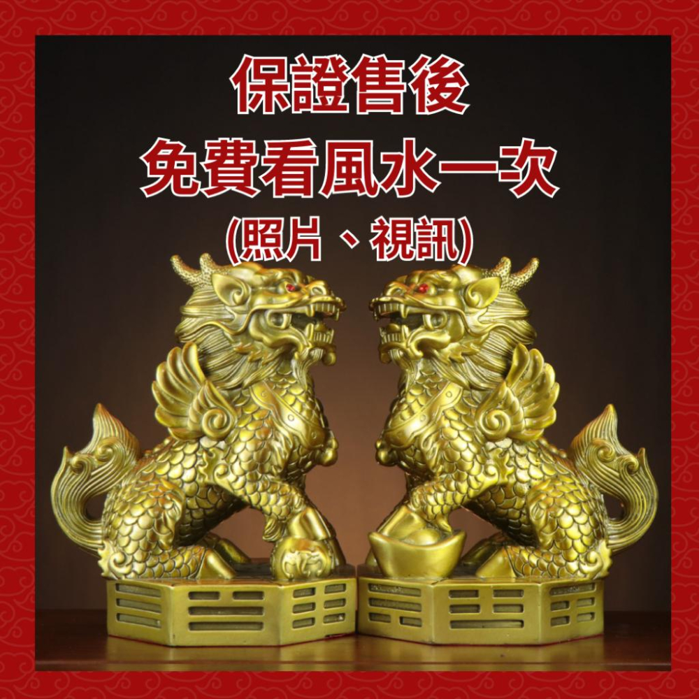 (騰翔風水用品) 財富麒麟擺件 台灣現貨 八卦財福騏麟 純銅八卦麒麟 平安 吉祥 風水用品-細節圖2