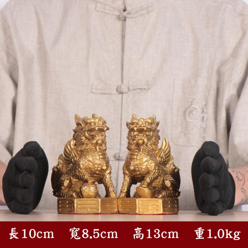 (騰翔風水用品) 財富麒麟擺件 台灣現貨 八卦財福騏麟 純銅八卦麒麟 平安 吉祥 風水用品-細節圖6