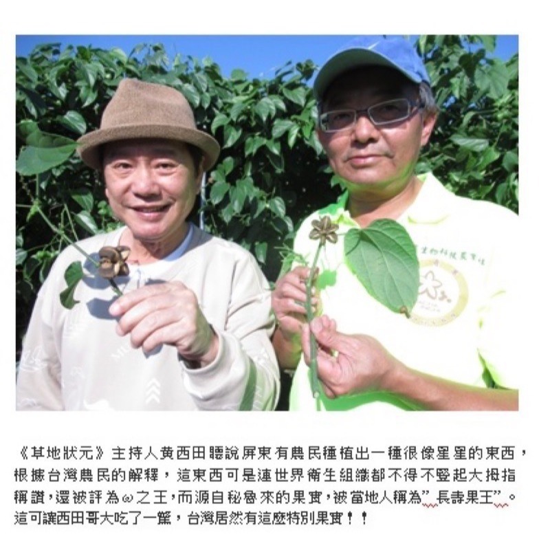100%純印加果膠囊 三盒組(單盒60顆)-細節圖3