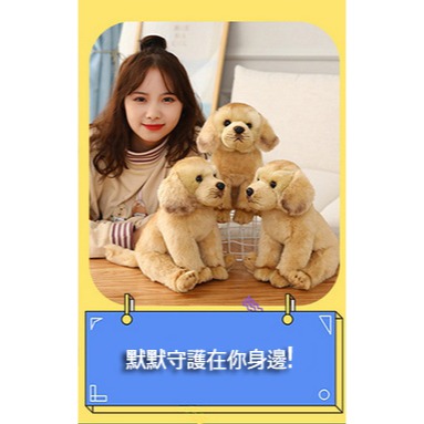 ((台灣現貨))仿真可愛毛絨狗狗拉布拉多 馬爾濟斯犬 比熊犬 博美 邊界牧羊犬公仔玩具擺件安撫娃娃 生日禮物 聖誕節禮物-細節圖2