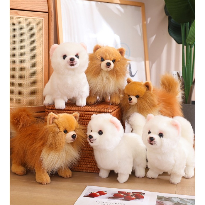 ((台灣現貨))仿真可愛毛絨狗狗拉布拉多 馬爾濟斯犬 比熊犬 博美 邊界牧羊犬公仔玩具擺件安撫娃娃 生日禮物 聖誕節禮物-細節圖3