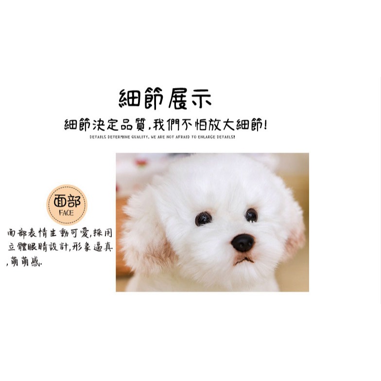 ((台灣現貨))仿真可愛毛絨狗狗拉布拉多 馬爾濟斯犬 比熊犬 博美 邊界牧羊犬公仔玩具擺件安撫娃娃 生日禮物 聖誕節禮物-細節圖5