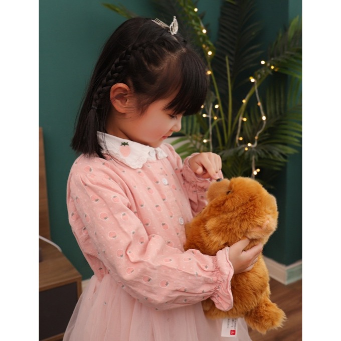 ((台灣現貨))仿真可愛毛絨狗狗拉布拉多 馬爾濟斯犬 比熊犬 博美 邊界牧羊犬公仔玩具擺件安撫娃娃 生日禮物 聖誕節禮物-細節圖9