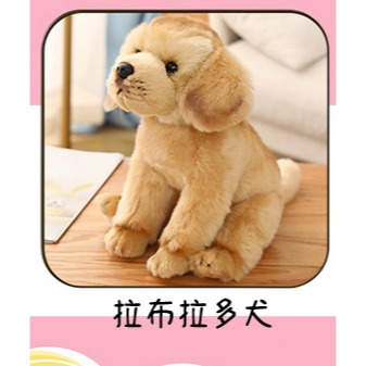 ((台灣現貨))仿真可愛毛絨狗狗拉布拉多 馬爾濟斯犬 比熊犬 博美 邊界牧羊犬公仔玩具擺件安撫娃娃 生日禮物 聖誕節禮物-規格圖11