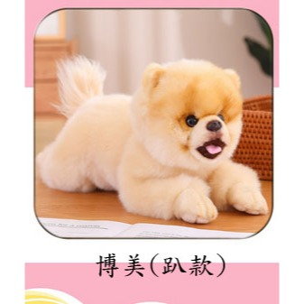 ((台灣現貨))仿真可愛毛絨狗狗拉布拉多 馬爾濟斯犬 比熊犬 博美 邊界牧羊犬公仔玩具擺件安撫娃娃 生日禮物 聖誕節禮物-規格圖11