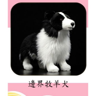((台灣現貨))仿真可愛毛絨狗狗拉布拉多 馬爾濟斯犬 比熊犬 博美 邊界牧羊犬公仔玩具擺件安撫娃娃 生日禮物 聖誕節禮物-規格圖11