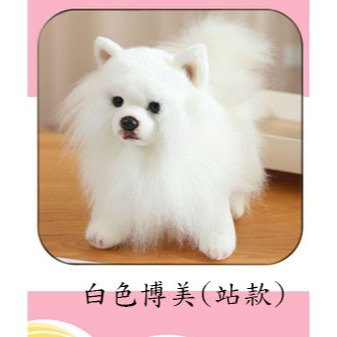 ((台灣現貨))仿真可愛毛絨狗狗拉布拉多 馬爾濟斯犬 比熊犬 博美 邊界牧羊犬公仔玩具擺件安撫娃娃 生日禮物 聖誕節禮物-規格圖11