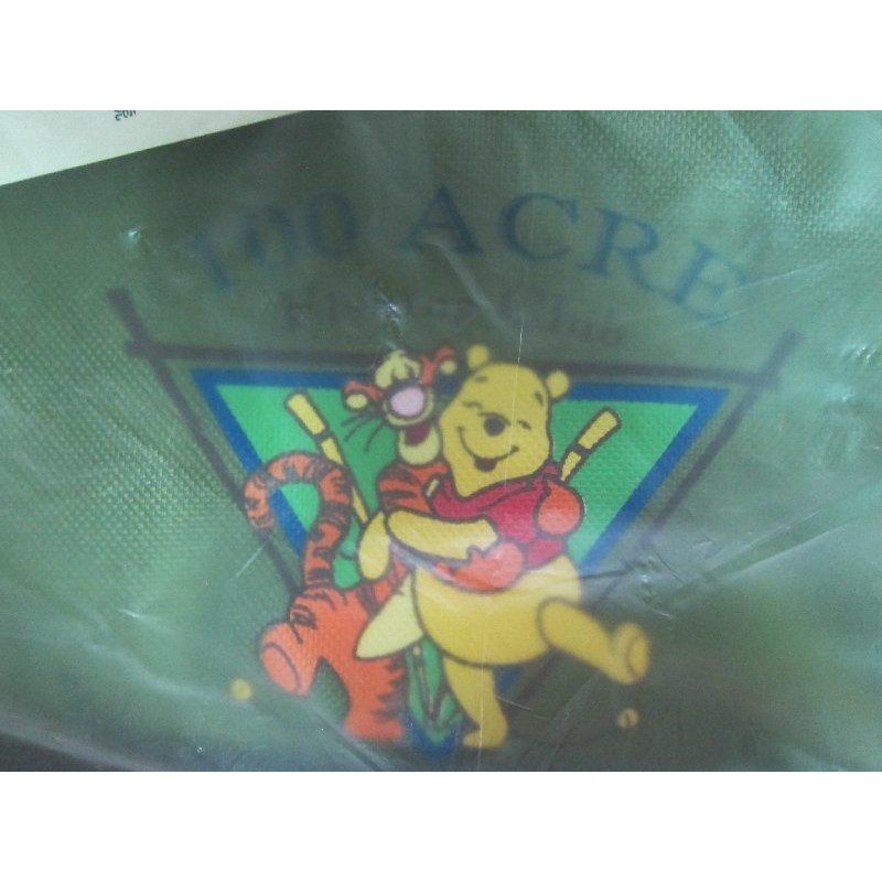 迪士尼 小熊維尼 購物車 帆布 折疊 手拉車 手推車 菜籃車 摺疊購物車 置物箱 環保 購物袋 收納袋 手拉車 跳跳虎-細節圖4