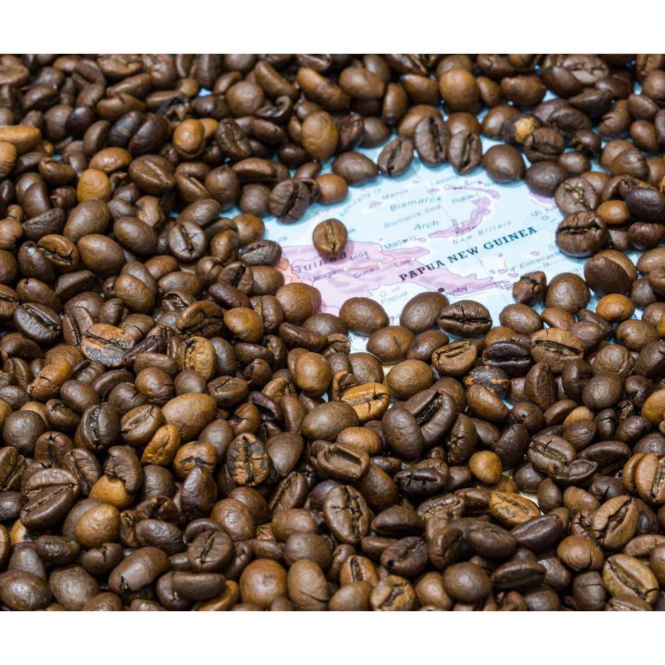 巴布亞新幾內亞天堂鳥莊園AA（小藍山）-細節圖2