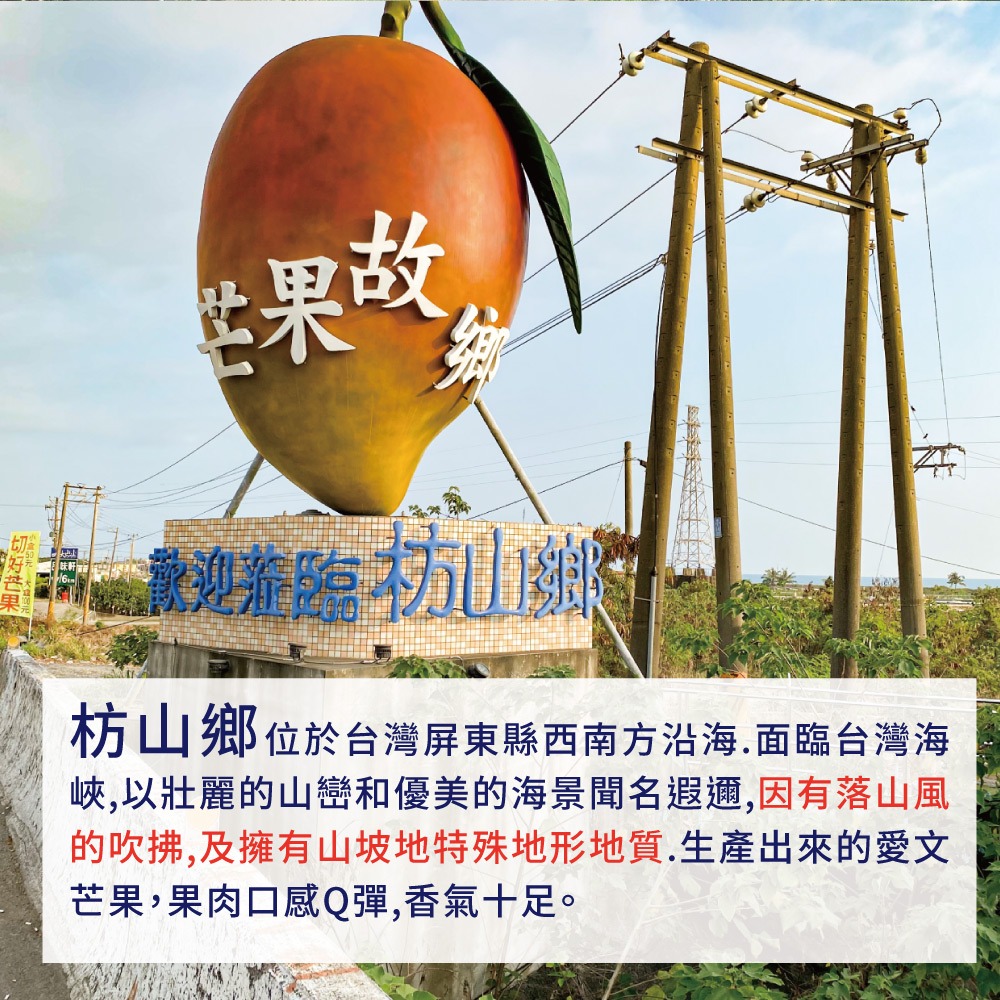 【預購】屏東枋山愛文芒果禮盒5斤6-8顆(大果)-5/15起陸續出貨-細節圖2