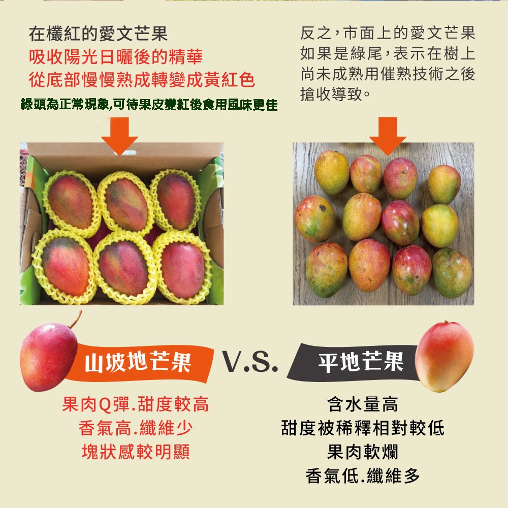 【預購】屏東枋山愛文芒果禮盒5斤6-8顆(大果)-5/15起陸續出貨-細節圖6