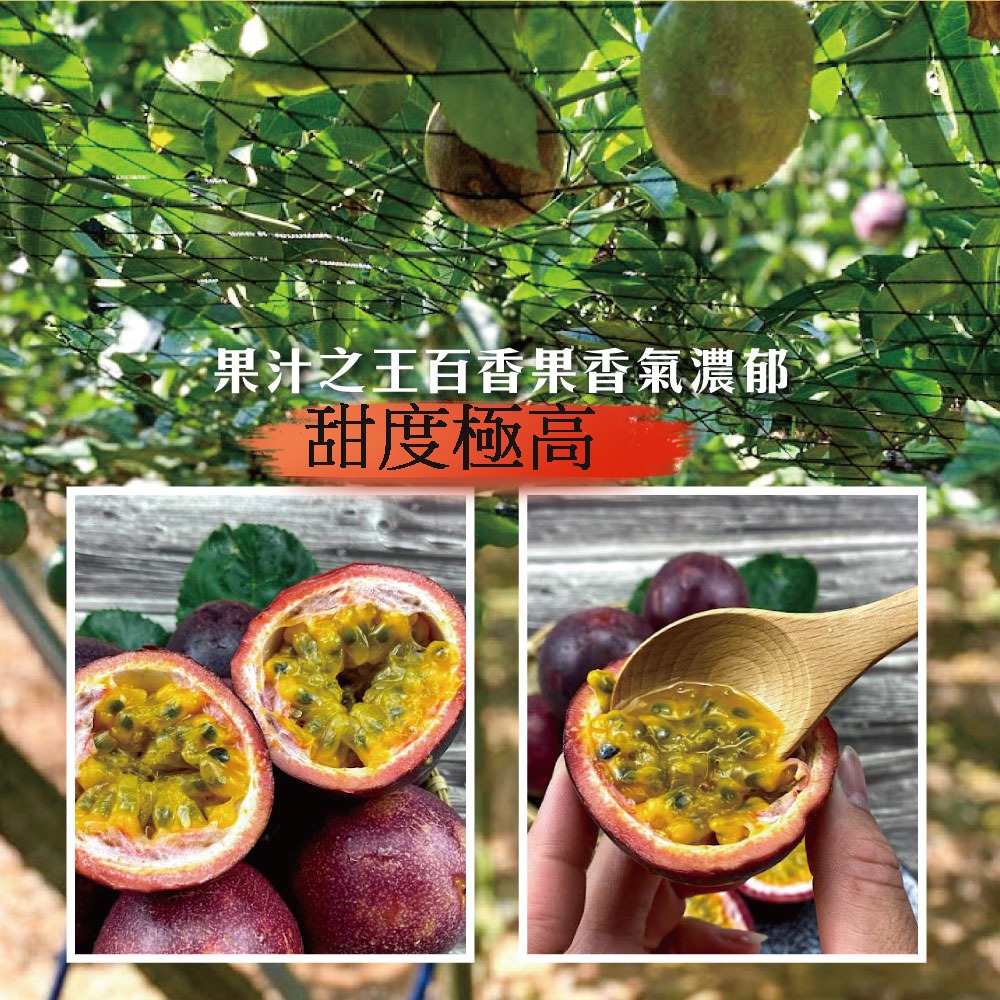 高雄百香果禮盒大果5斤30-35顆-細節圖5