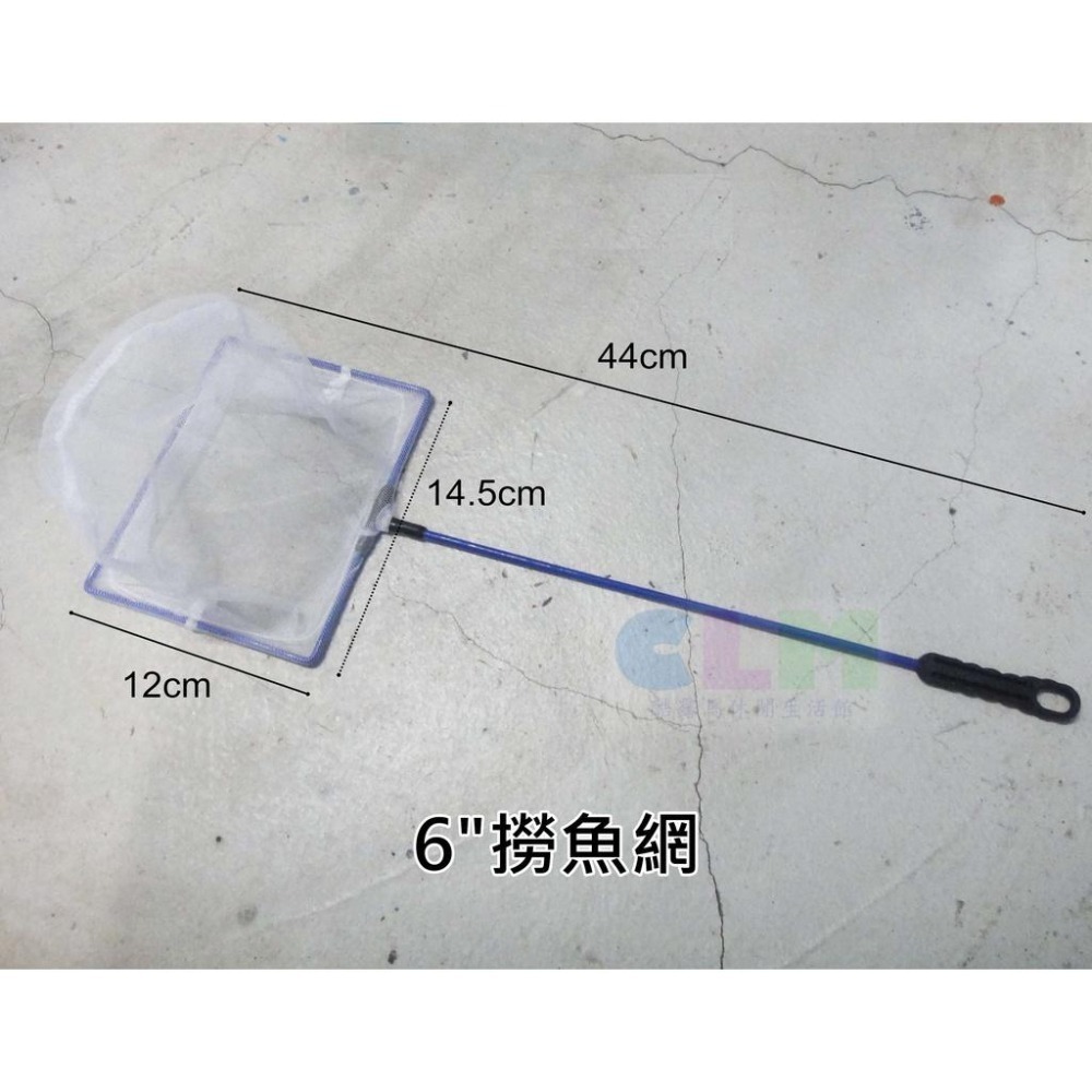 【酷露馬】方形 6＂ 撈魚網 撈蝦網 鐵框魚網 金魚網 漁網 捉魚網 撈網 昆蟲網 OT006-細節圖3
