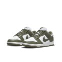 NIKE DUNK LOW 墨綠 軍綠 煙灰 休閒鞋 女鞋 DD1503-120 DD1503-117-規格圖9