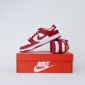 NIKE DUNK LOW USC-規格圖5