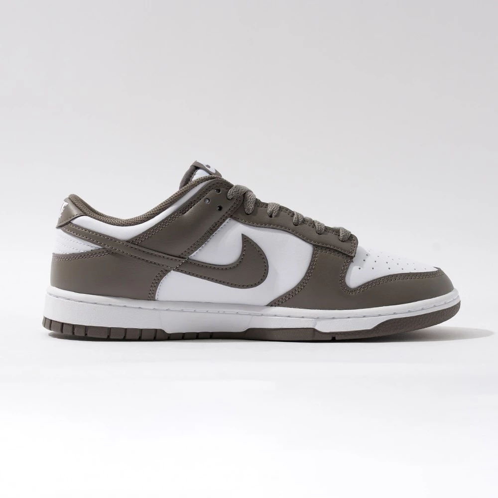 Nike Dunk Low Retro 男 灰 休閒 透氣 Dunk 運動 休閒鞋 HF5441-111-細節圖6