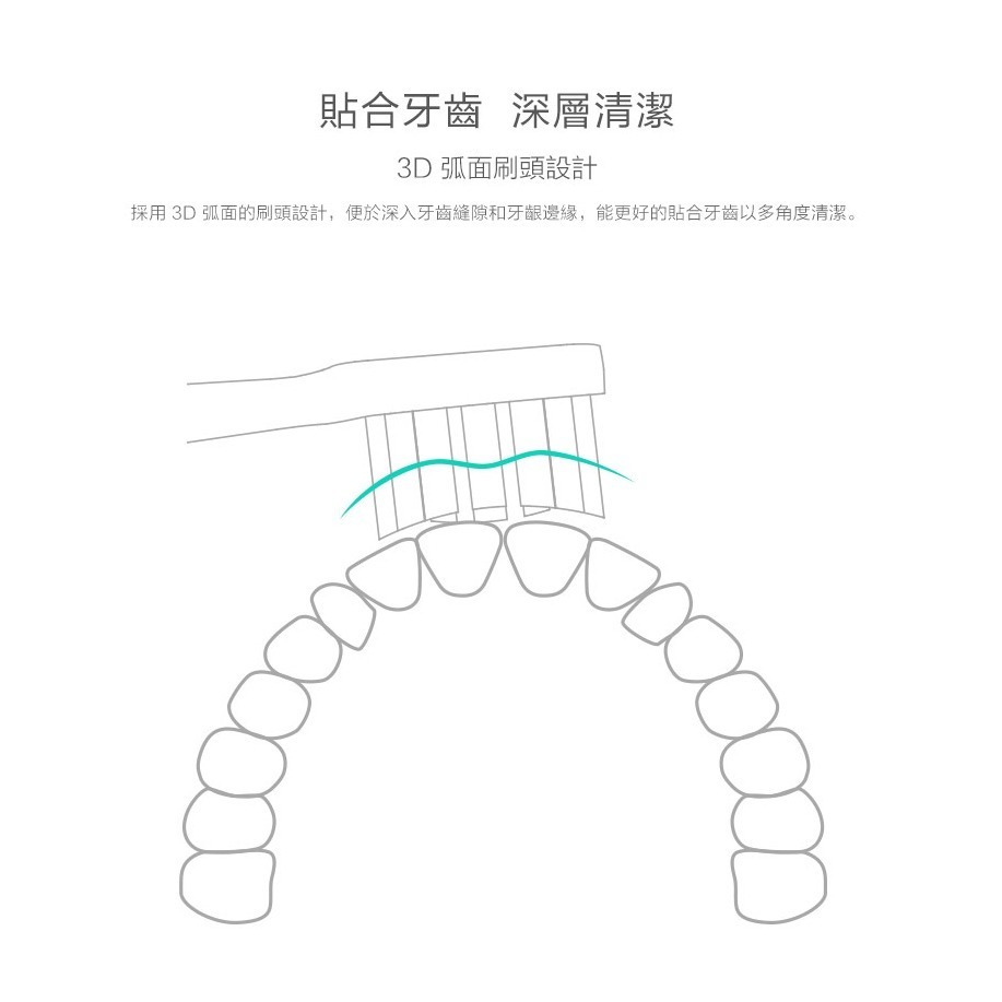 小米 米家 聲波 電動牙刷頭 T500 T300 牙刷頭 通用型 敏感型 刷頭-細節圖4