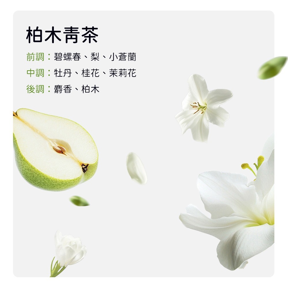 補充液(柏木青茶)