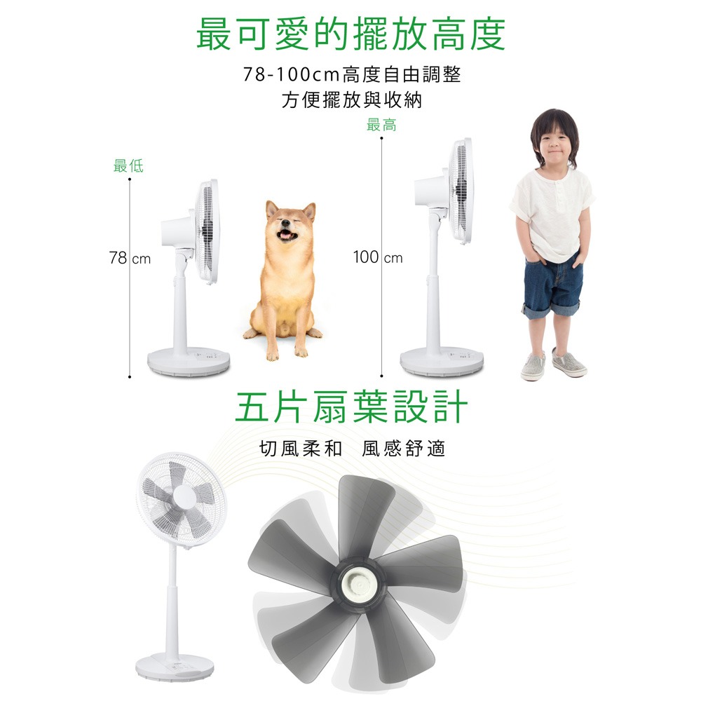 SHARP 夏普 DC直流馬達伸縮立扇 電風扇 立扇 落地扇 經典款 14吋 PJ-E14GE-細節圖5