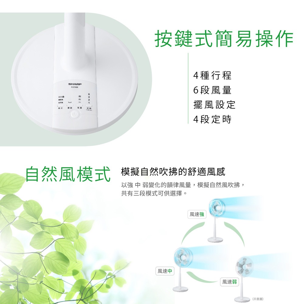 SHARP 夏普 DC直流馬達伸縮立扇 電風扇 立扇 落地扇 經典款 14吋 PJ-E14GE-細節圖6