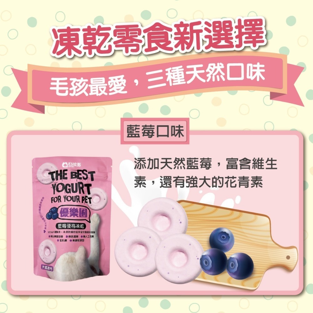 【毛孩寶PetPro】優樂圈－生乳優格凍乾(藍莓/南瓜/生乳)／寵物凍乾 寵物零食 毛孩凍乾 毛孩零食-細節圖3
