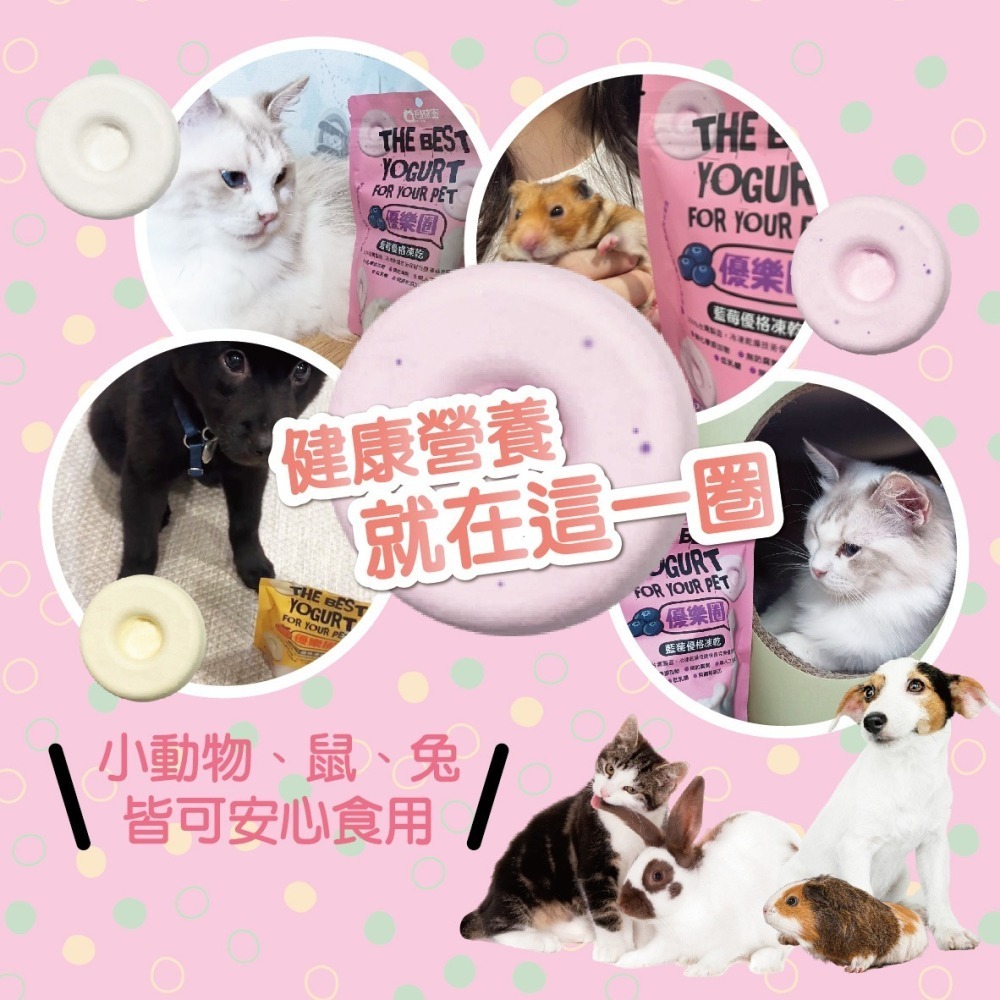 【毛孩寶PetPro】優樂圈－生乳優格凍乾(藍莓/南瓜/生乳)／寵物凍乾 寵物零食 毛孩凍乾 毛孩零食-細節圖9