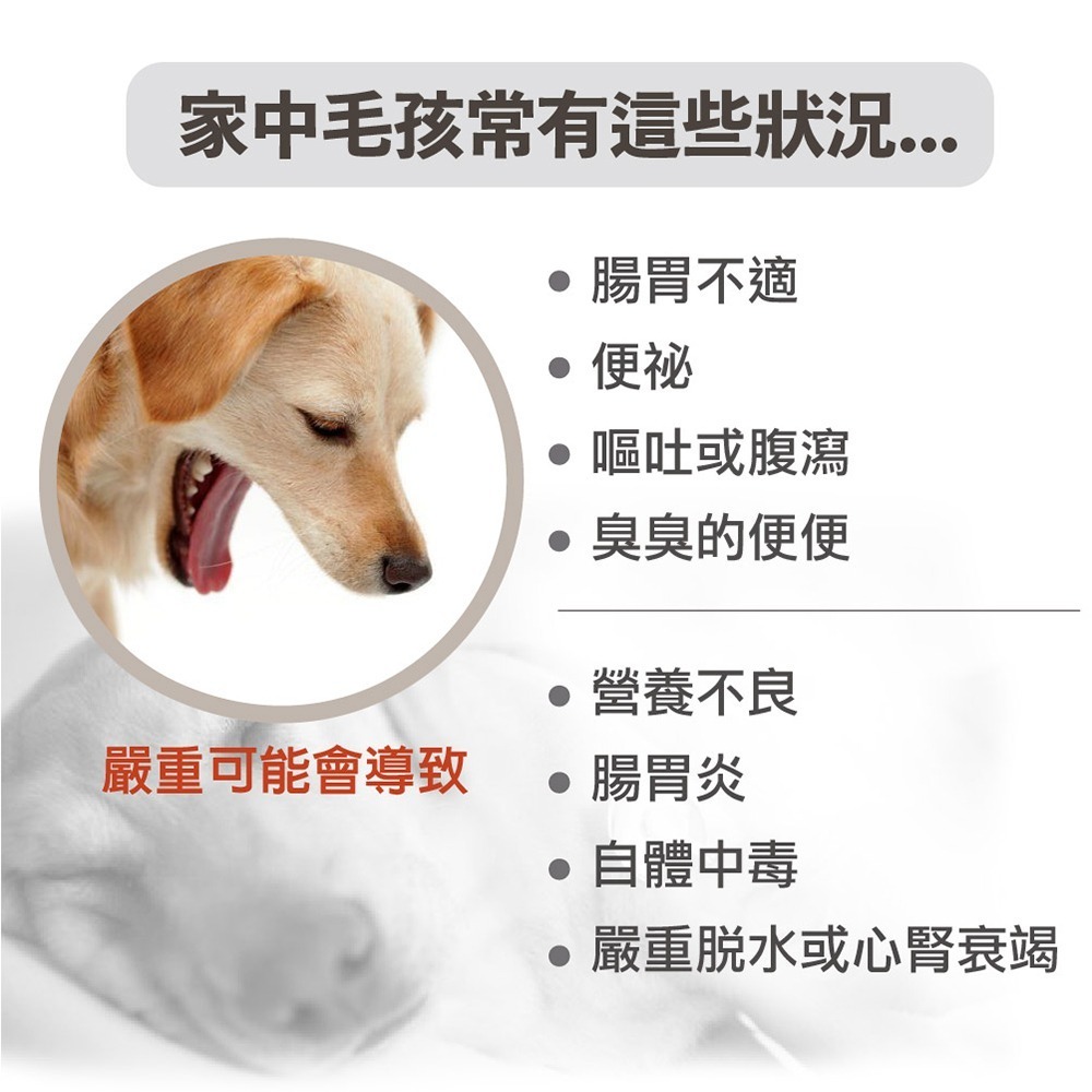 【毛孩寶PetPro】犬貓適用 | 腸胃康-專利包膜益生菌,毛孩腸胃的守護者-細節圖3