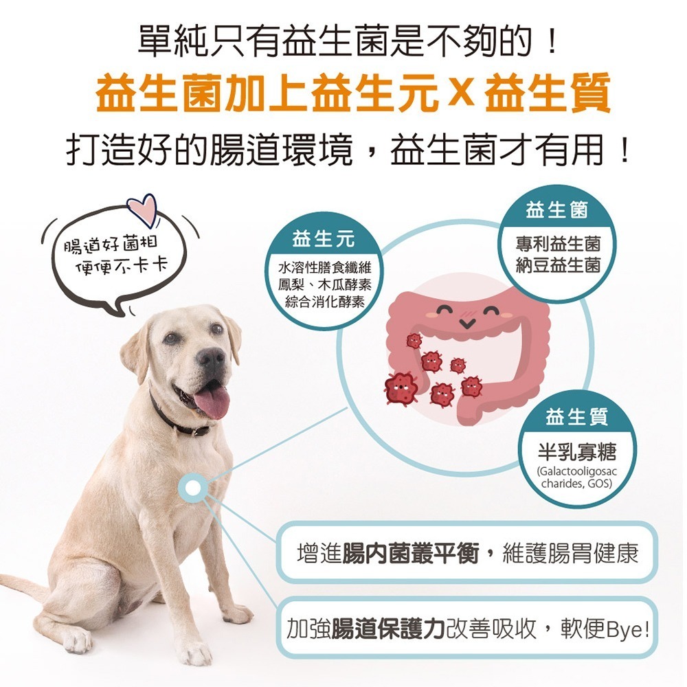 【毛孩寶PetPro】犬貓適用 | 腸胃康-專利包膜益生菌,毛孩腸胃的守護者-細節圖5