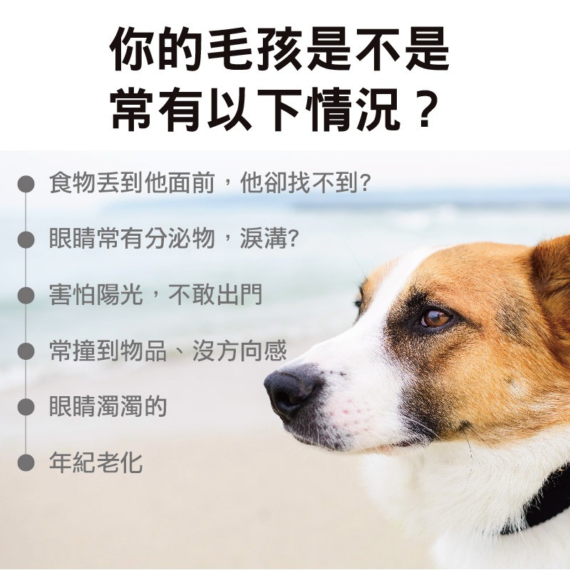 【毛孩寶PetPro】犬貓適用 | 高單位護眼膠囊-游離型葉黃素八合一配方-細節圖4