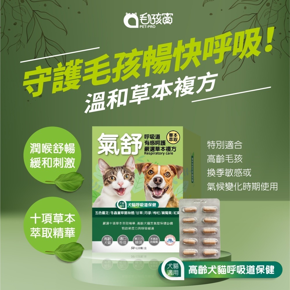 【毛孩寶PetPro】犬貓適用 | 氣舒呼吸道保健膠囊-十種草本萃取精華溫和有感照護 / 50粒裝(盒)-細節圖2