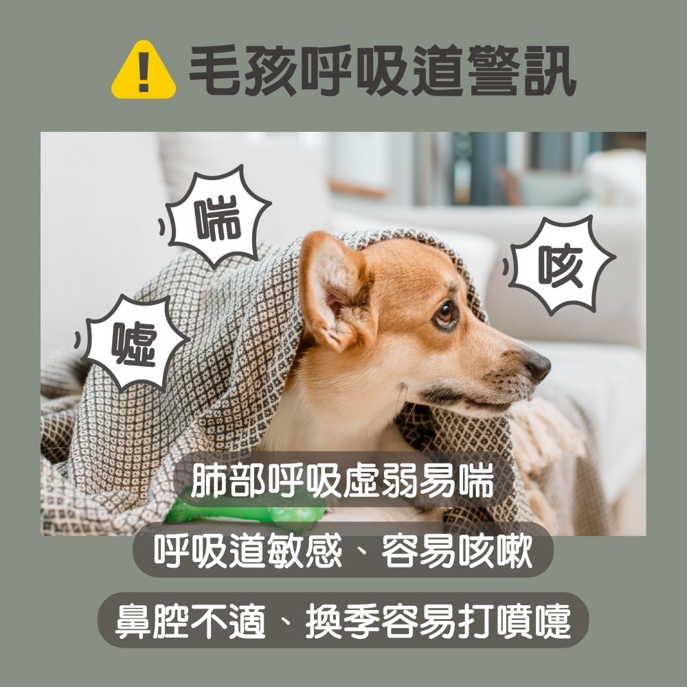 【毛孩寶PetPro】犬貓適用 | 氣舒呼吸道保健膠囊-十種草本萃取精華溫和有感照護 / 50粒裝(盒)-細節圖3