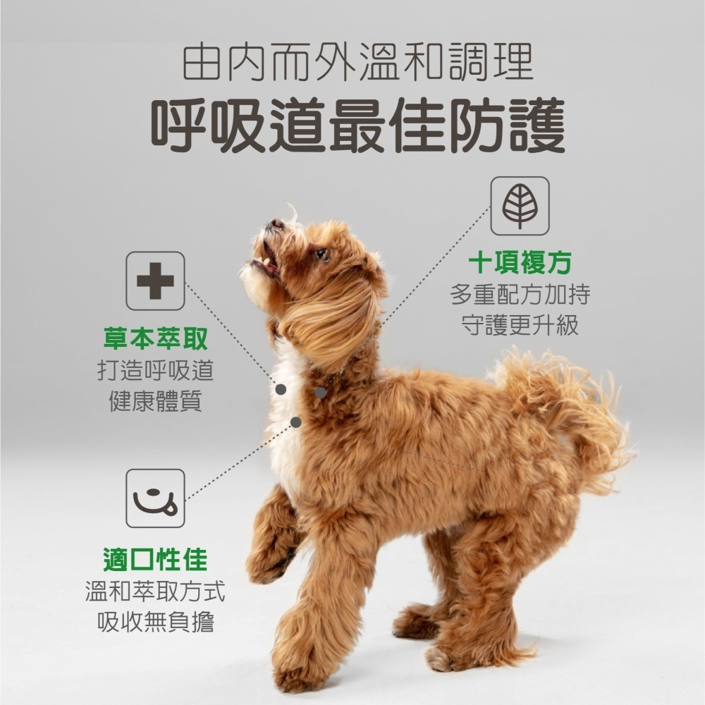 【毛孩寶PetPro】犬貓適用 | 氣舒呼吸道保健膠囊-十種草本萃取精華溫和有感照護 / 50粒裝(盒)-細節圖4