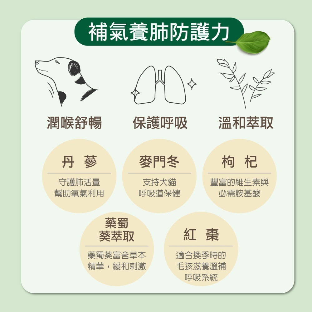 【毛孩寶PetPro】犬貓適用 | 氣舒呼吸道保健膠囊-十種草本萃取精華溫和有感照護 / 50粒裝(盒)-細節圖6
