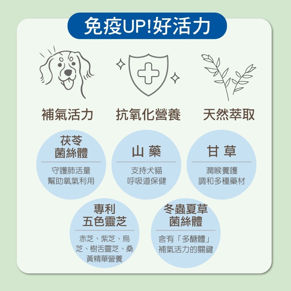 【毛孩寶PetPro】犬貓適用 | 氣舒呼吸道保健膠囊-十種草本萃取精華溫和有感照護 / 50粒裝(盒)-細節圖7