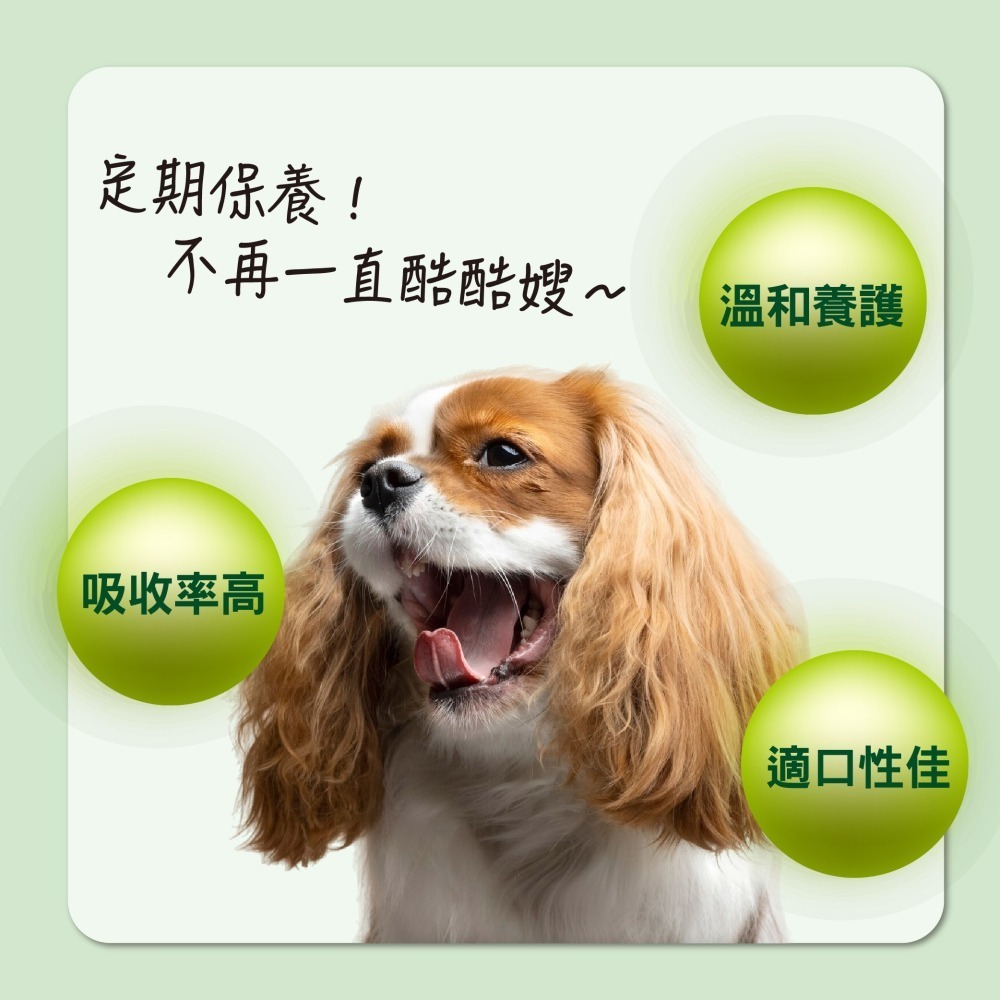 【毛孩寶PetPro】犬貓適用 | 氣舒呼吸道保健膠囊-十種草本萃取精華溫和有感照護 / 50粒裝(盒)-細節圖8
