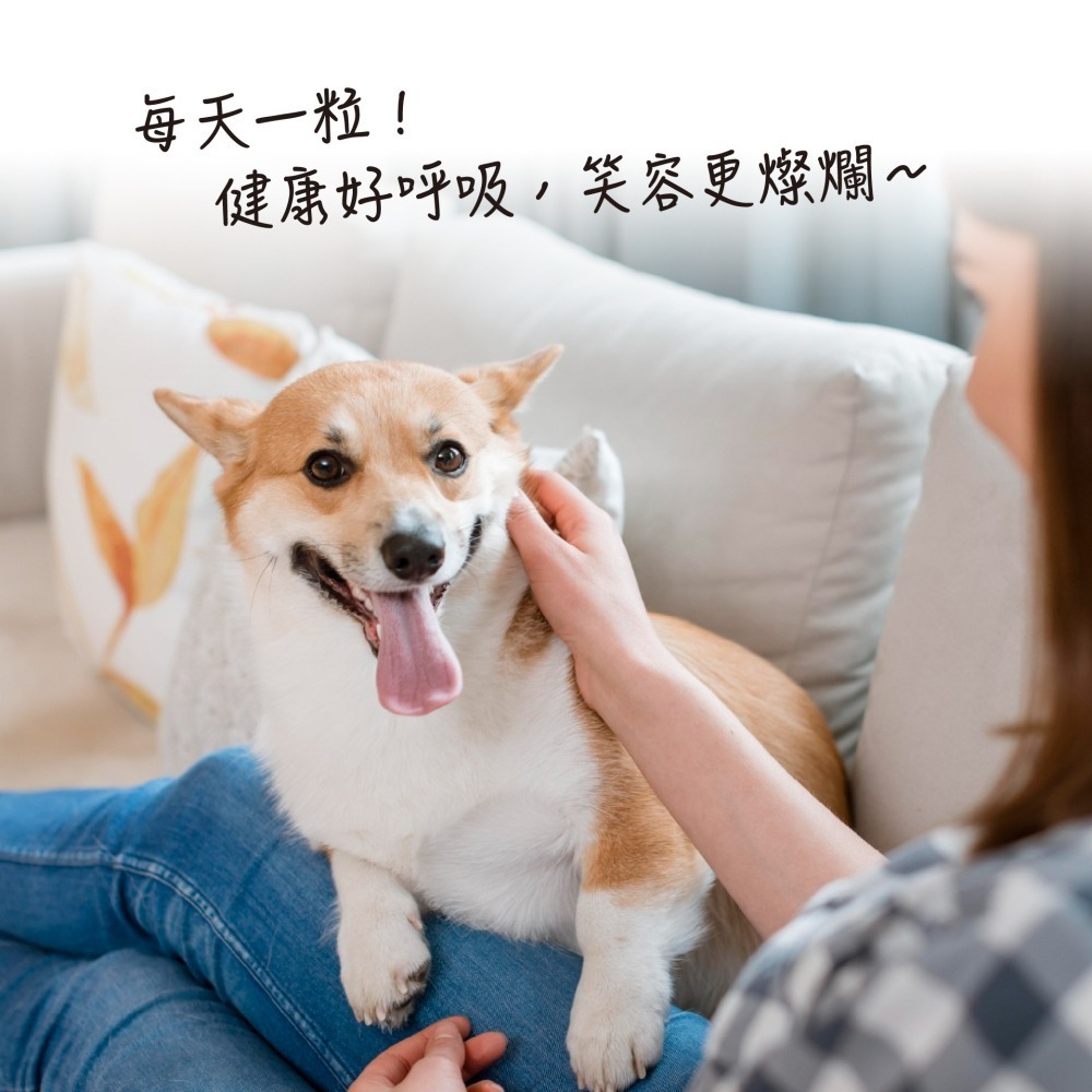 【毛孩寶PetPro】犬貓適用 | 氣舒呼吸道保健膠囊-十種草本萃取精華溫和有感照護 / 50粒裝(盒)-細節圖11