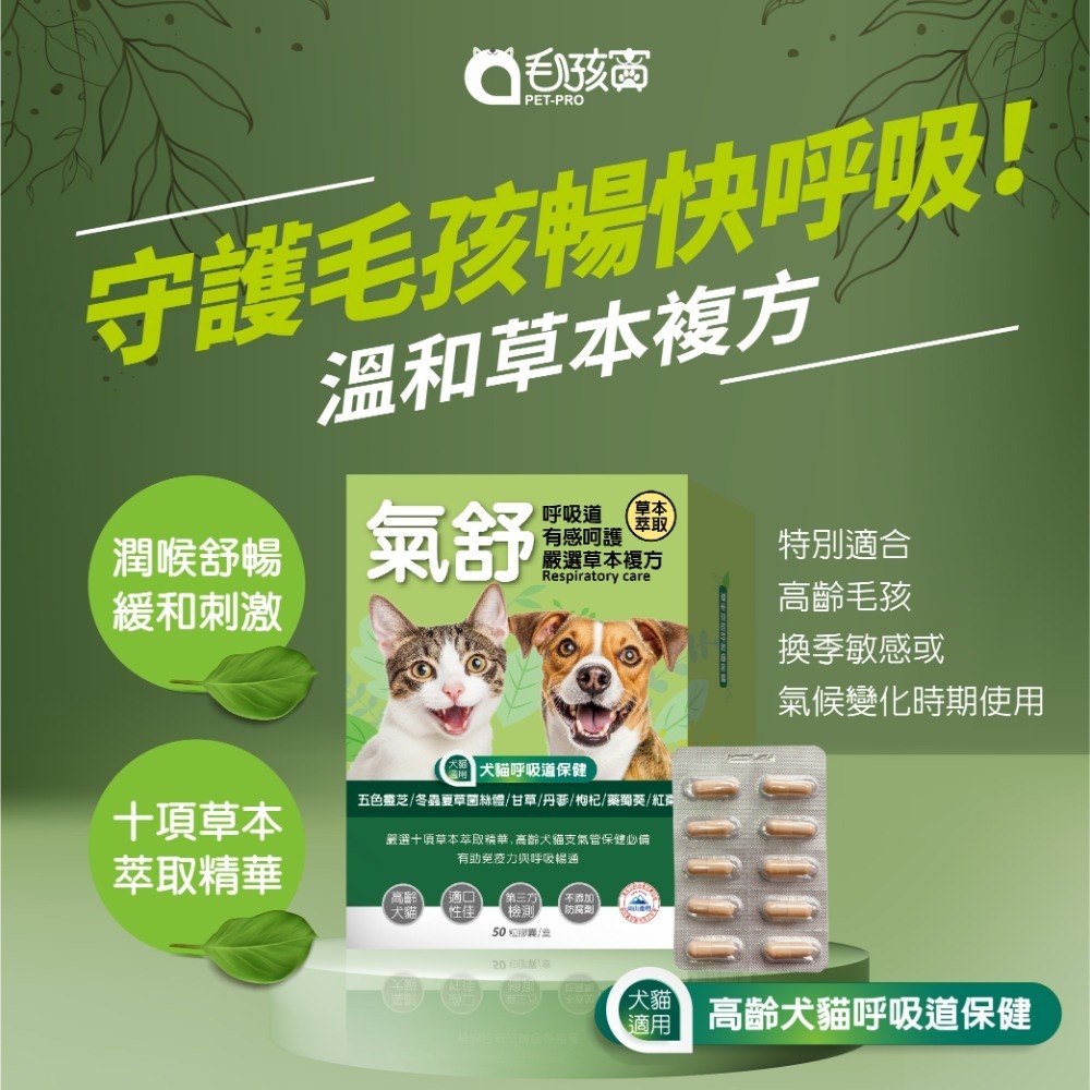 【毛孩寶PetPro】犬貓適用 | 氣舒呼吸道保健膠囊-十種草本萃取精華溫和有感照護 / 50粒裝(盒)-規格圖11
