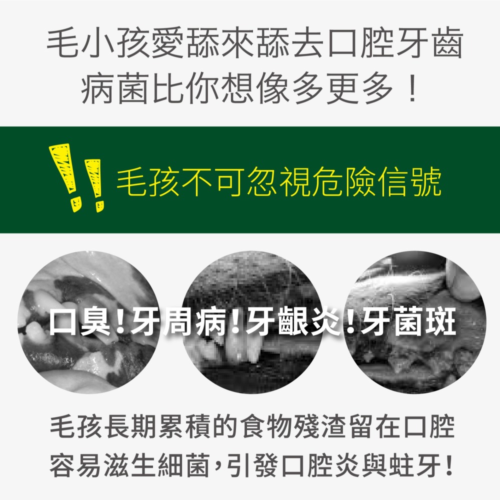 【毛孩寶PetPro】犬貓適用 | 綠蜂膠潔牙粉-潔牙好口氣維護口腔健康 / 40g/瓶-細節圖3