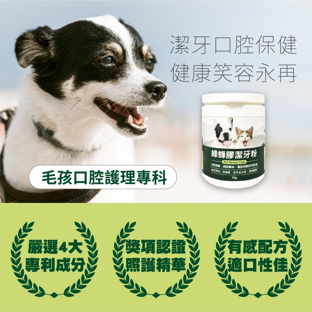 【毛孩寶PetPro】犬貓適用 | 綠蜂膠潔牙粉-潔牙好口氣維護口腔健康 / 40g/瓶-細節圖5
