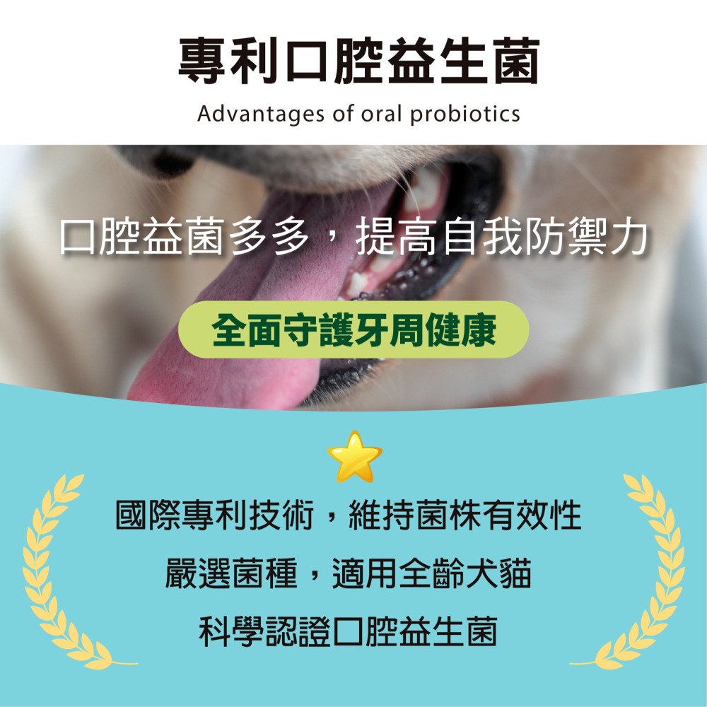 【毛孩寶PetPro】犬貓適用 | 綠蜂膠潔牙粉-潔牙好口氣維護口腔健康 / 40g/瓶-細節圖8