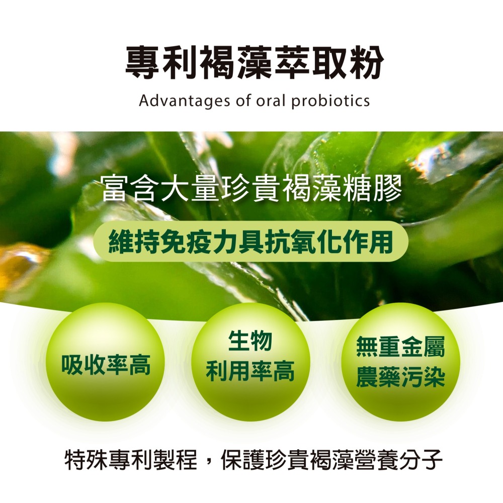 【毛孩寶PetPro】犬貓適用 | 綠蜂膠潔牙粉-潔牙好口氣維護口腔健康 / 40g/瓶-細節圖10