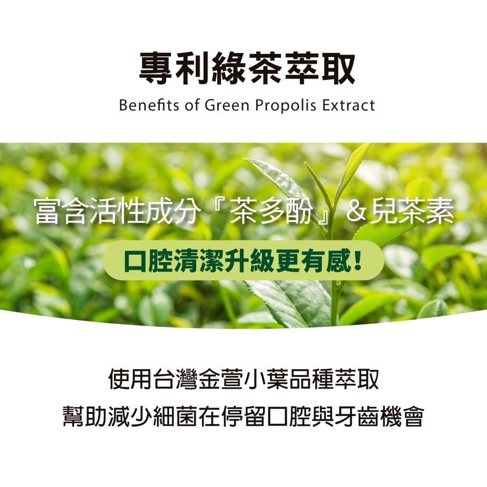 【毛孩寶PetPro】犬貓適用 | 綠蜂膠潔牙粉-潔牙好口氣維護口腔健康 / 40g/瓶-細節圖11