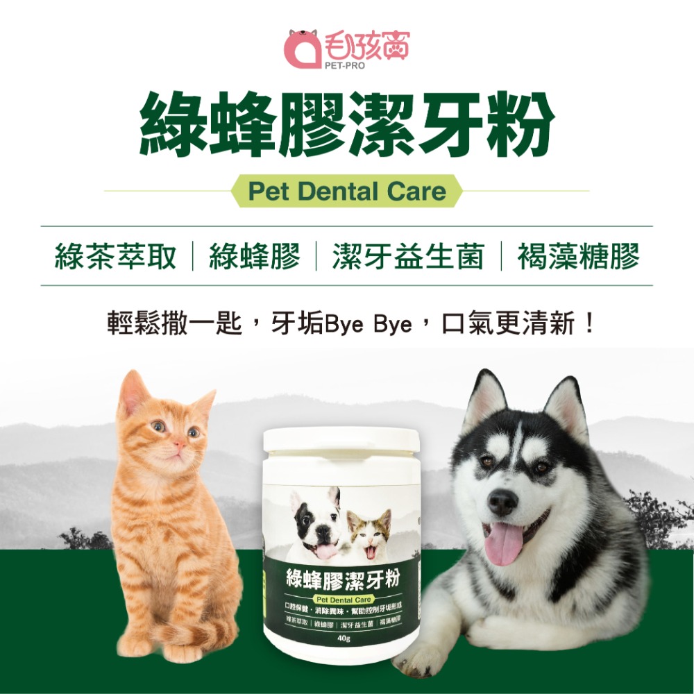 【毛孩寶PetPro】犬貓適用 | 綠蜂膠潔牙粉-潔牙好口氣維護口腔健康 / 40g/瓶-規格圖11