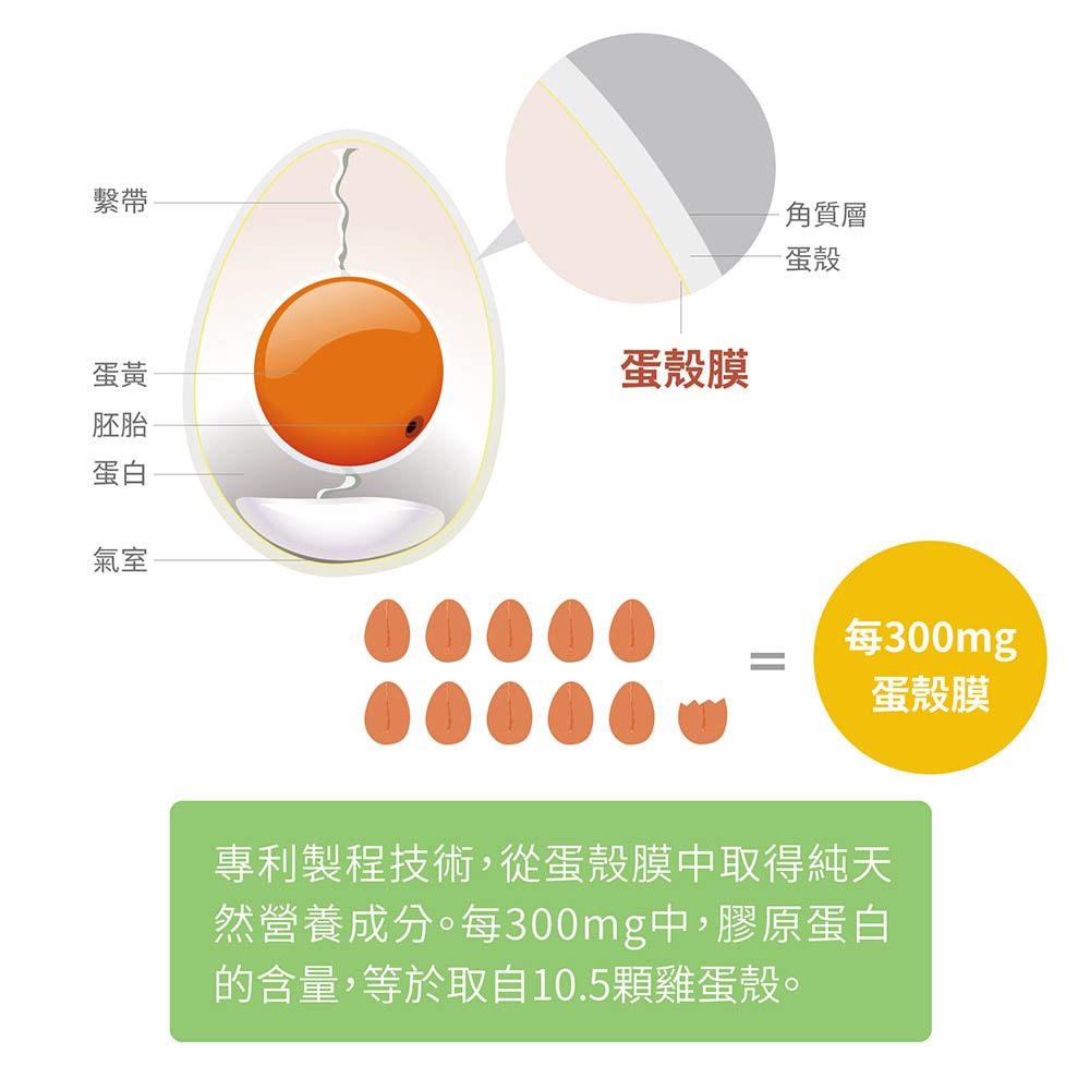 【毛孩寶PetPro】犬貓適用 | 健關節Plus-專利蛋殼膜/高齡關節好靈活配方-細節圖7