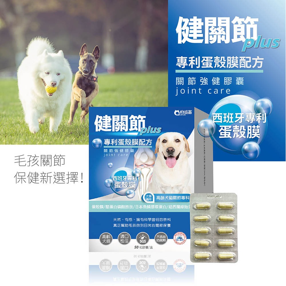 【毛孩寶PetPro】犬貓適用 | 健關節Plus-專利蛋殼膜/高齡關節好靈活配方-規格圖11