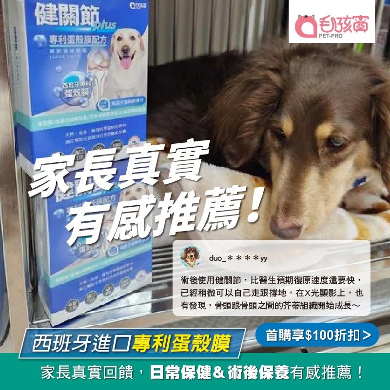 【毛孩寶PetPro】犬貓適用 | 健關節Plus-專利蛋殼膜/高齡關節好靈活配方-規格圖11