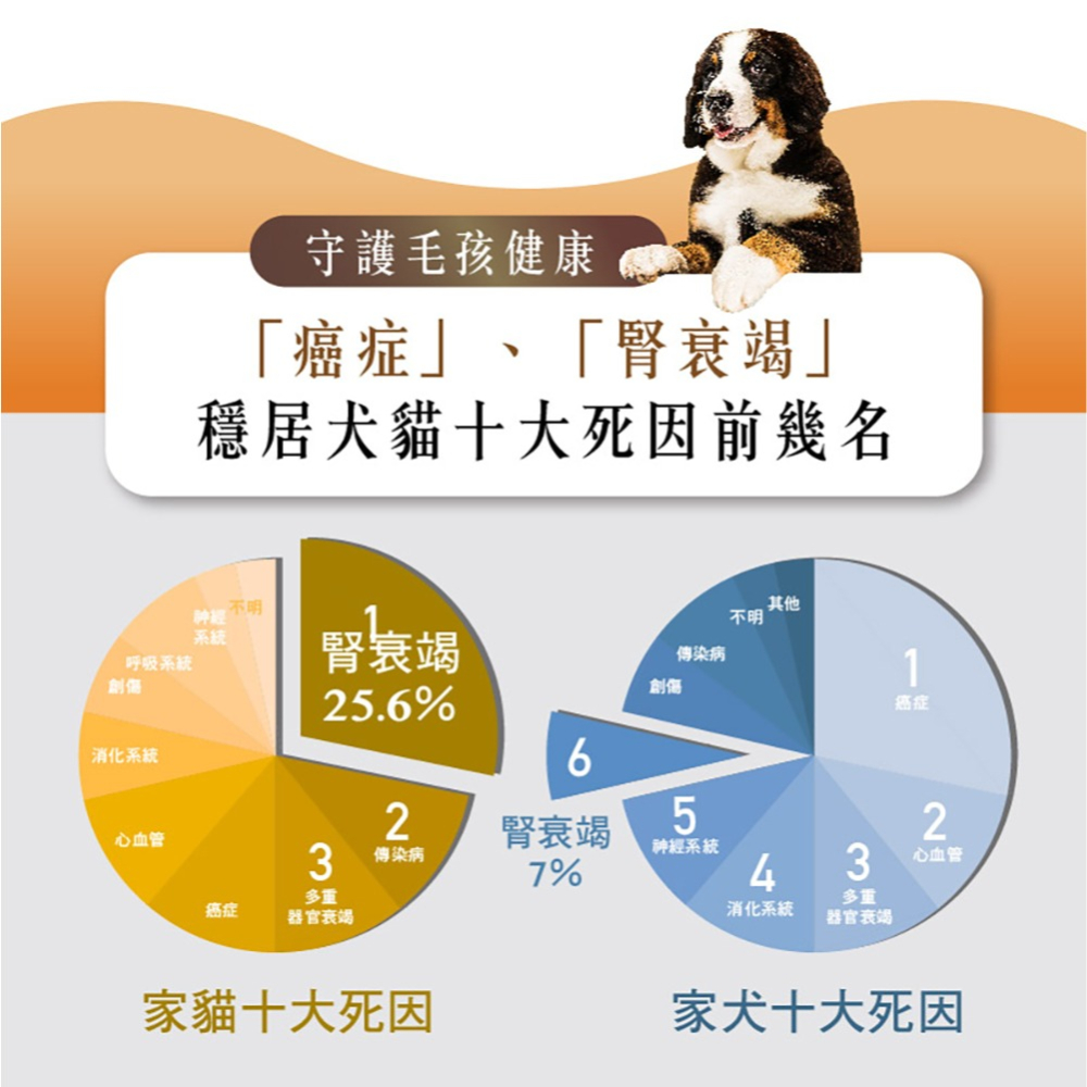 【毛孩寶PetPro】犬貓適用 | 腎肝2合1保健膠囊-冬蟲夏草菌絲體複方-細節圖2