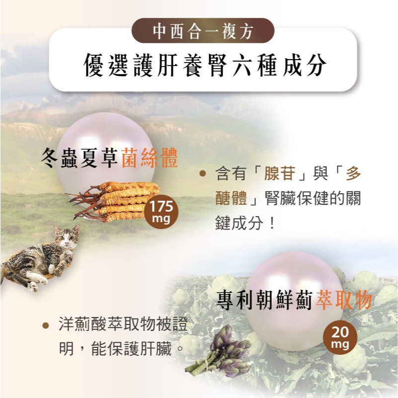 【毛孩寶PetPro】犬貓適用 | 腎肝2合1保健膠囊-冬蟲夏草菌絲體複方-細節圖4