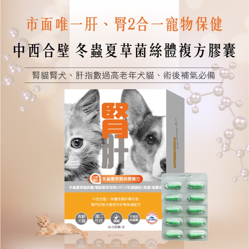 【毛孩寶PetPro】犬貓適用 | 腎肝2合1保健膠囊-冬蟲夏草菌絲體複方-規格圖10