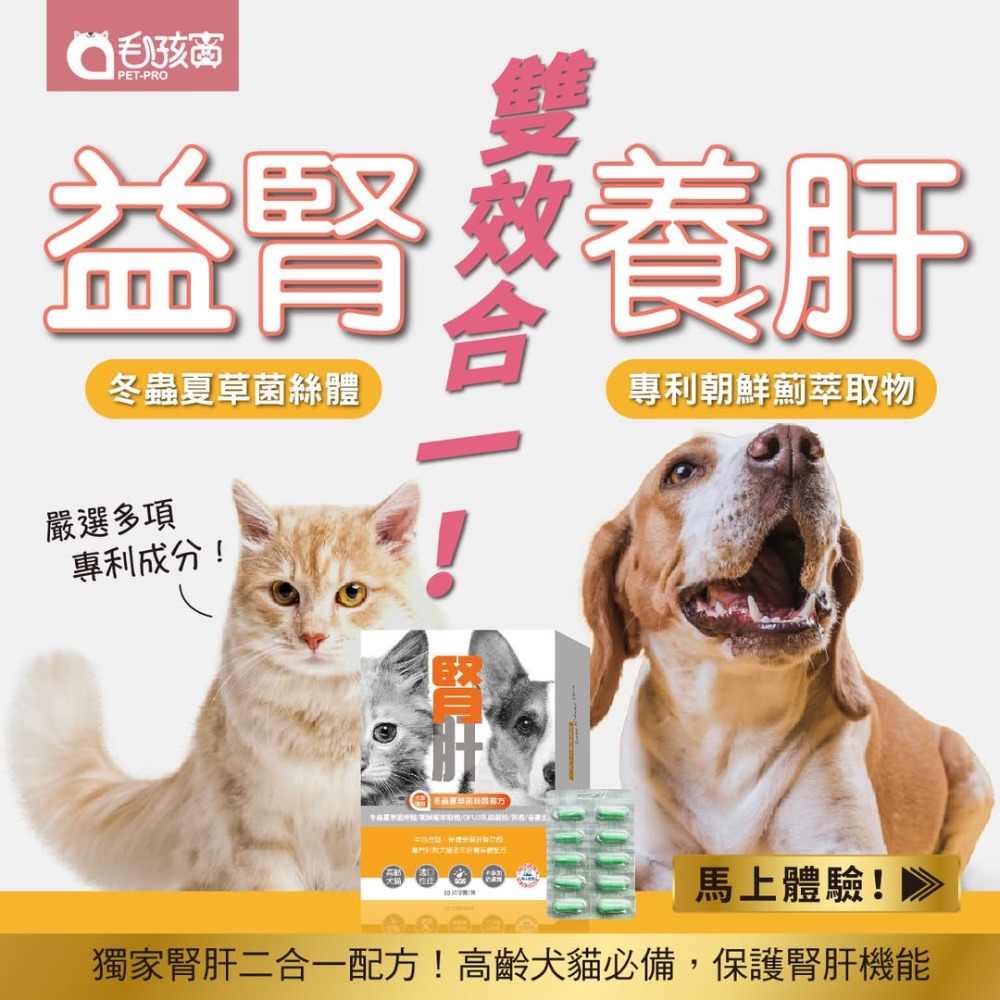 【毛孩寶PetPro】犬貓適用 | 腎肝2合1保健膠囊-冬蟲夏草菌絲體複方-規格圖10